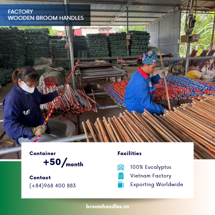 Vietnam Factory Wooden Broom Handles